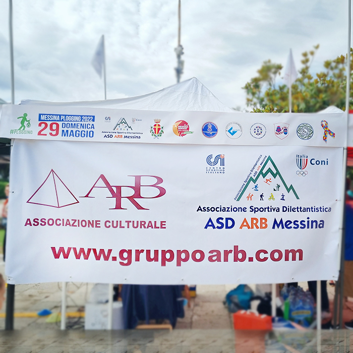 ARB panaflex